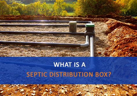 buy septic distribution box|septic system distribution box location.